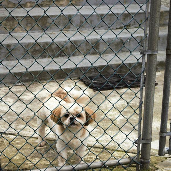 trenk Chain Link Fence Pet Cage - Image 2